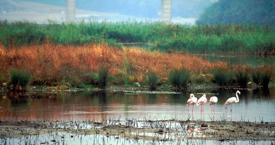 Le Oasi del Mugello 3(DE)