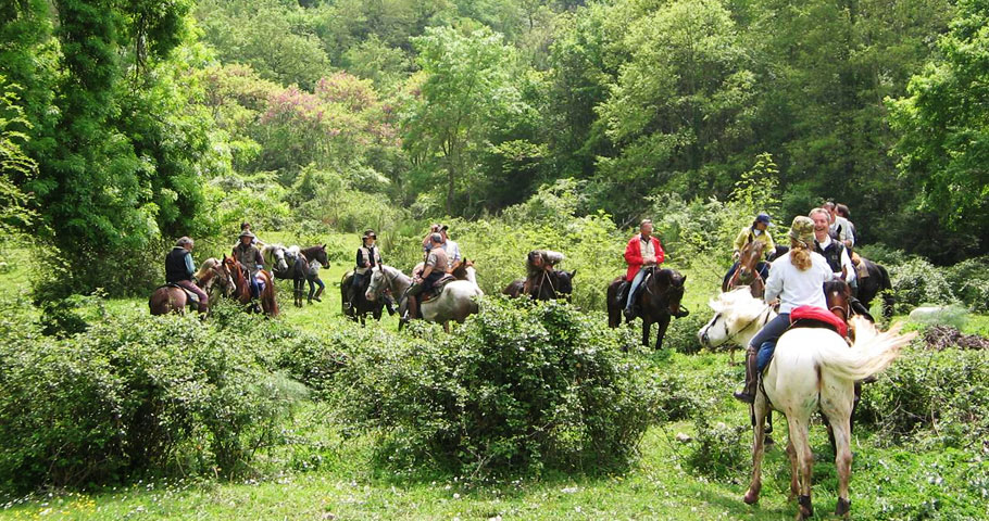 Cavalli del Mugello 2(EN)