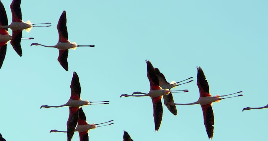 Le Oasi del Mugello 4(EN)