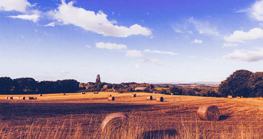 Trekking nel Mugello 2(EN)