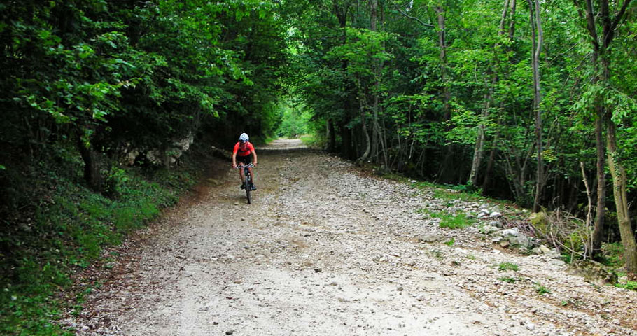 Escursioni in Mountain Bike 3 Escursioni in Mountain Bike 3